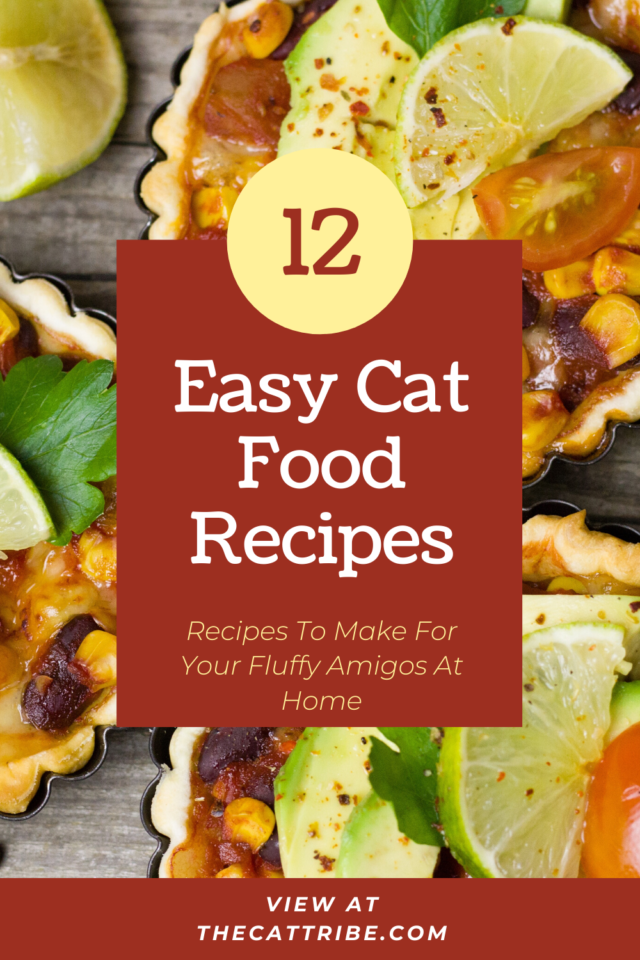 Top 12 Easy Cat Food Recipes Check 3 Recipe The Cat Tribe   1 640x960 