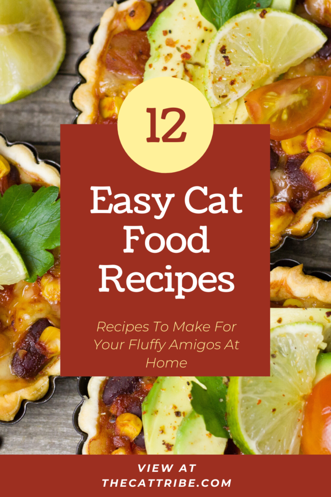 easy-cat-food-recipes