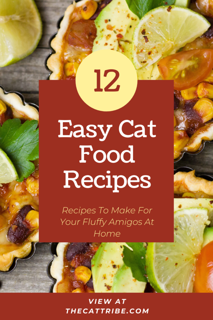 Top 12 Easy Cat Food Recipes , Check #3 Recipe | The Cat Tribe