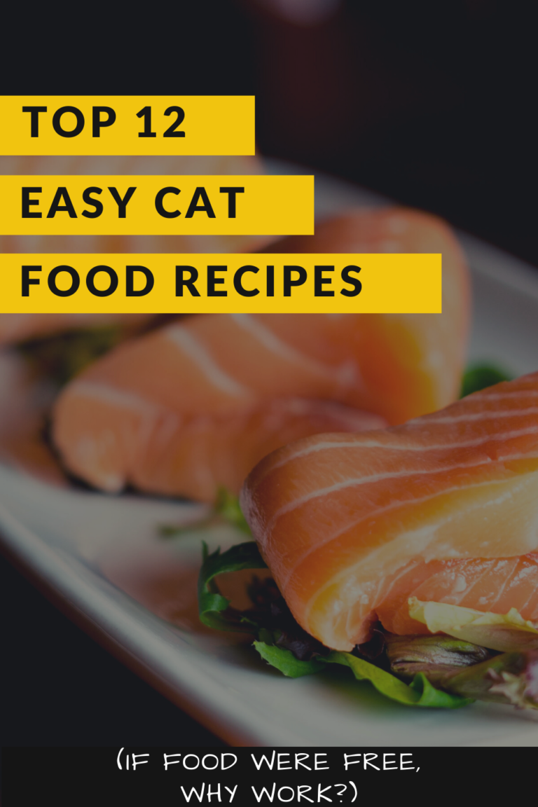 Top 12 Easy Cat Food Recipes , Check 3 Recipe The Cat Tribe