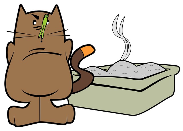 how-to-get-rid-of-cat-pee-smell