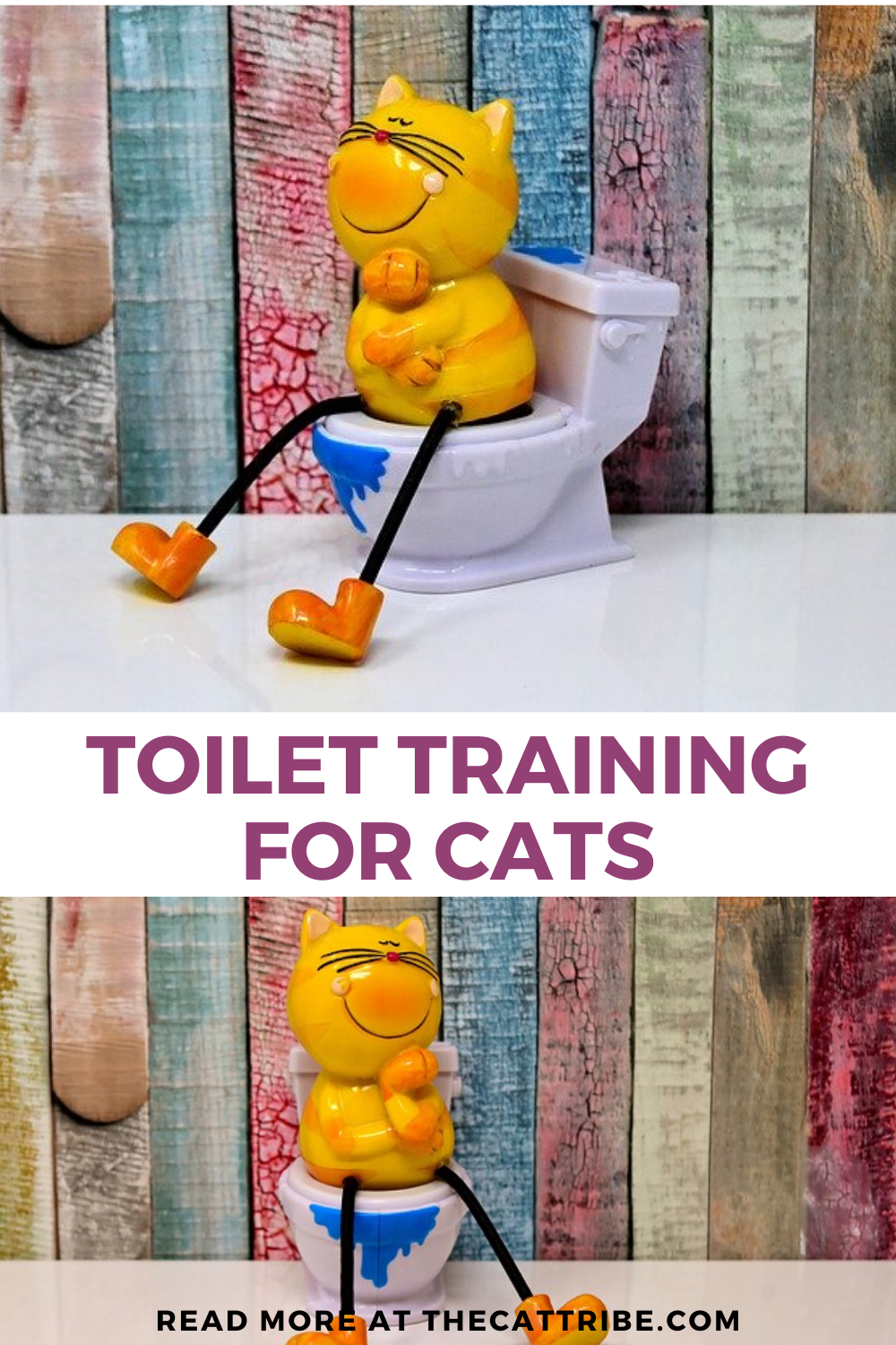 Toilet Training For Cats In 5 Ridiculously Easy Steps The Cat Tribe