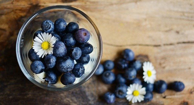 can-cats-have-blueberries