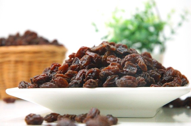 can-cats-eat-raisins