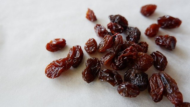 can-cats-eat-raisins