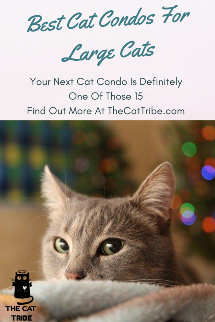 best-cat-condos-for-large-cats
