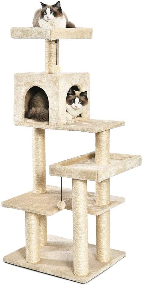 Cat Condo instal the new for apple