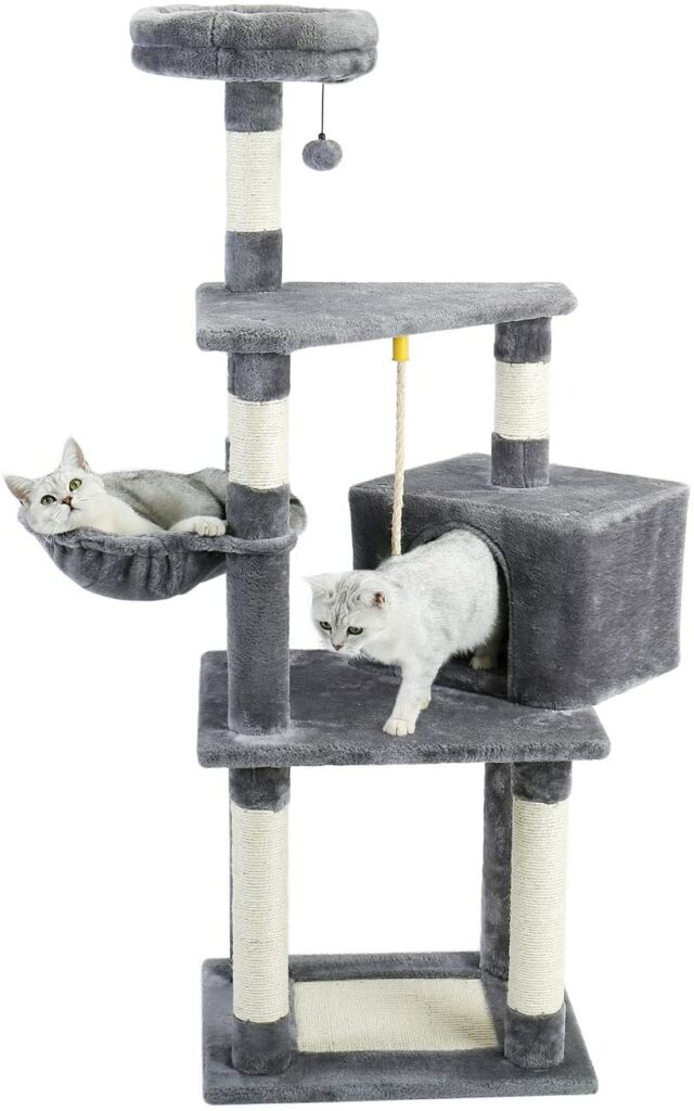 instal the new version for ios Cat Condo