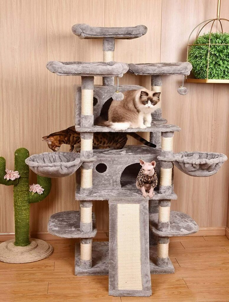 downloading Cat Condo