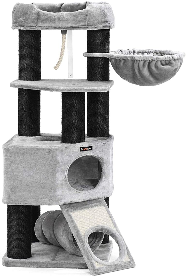 Best Cat Condos For Large Cats! Your Next Cat Condo Is Definitely One