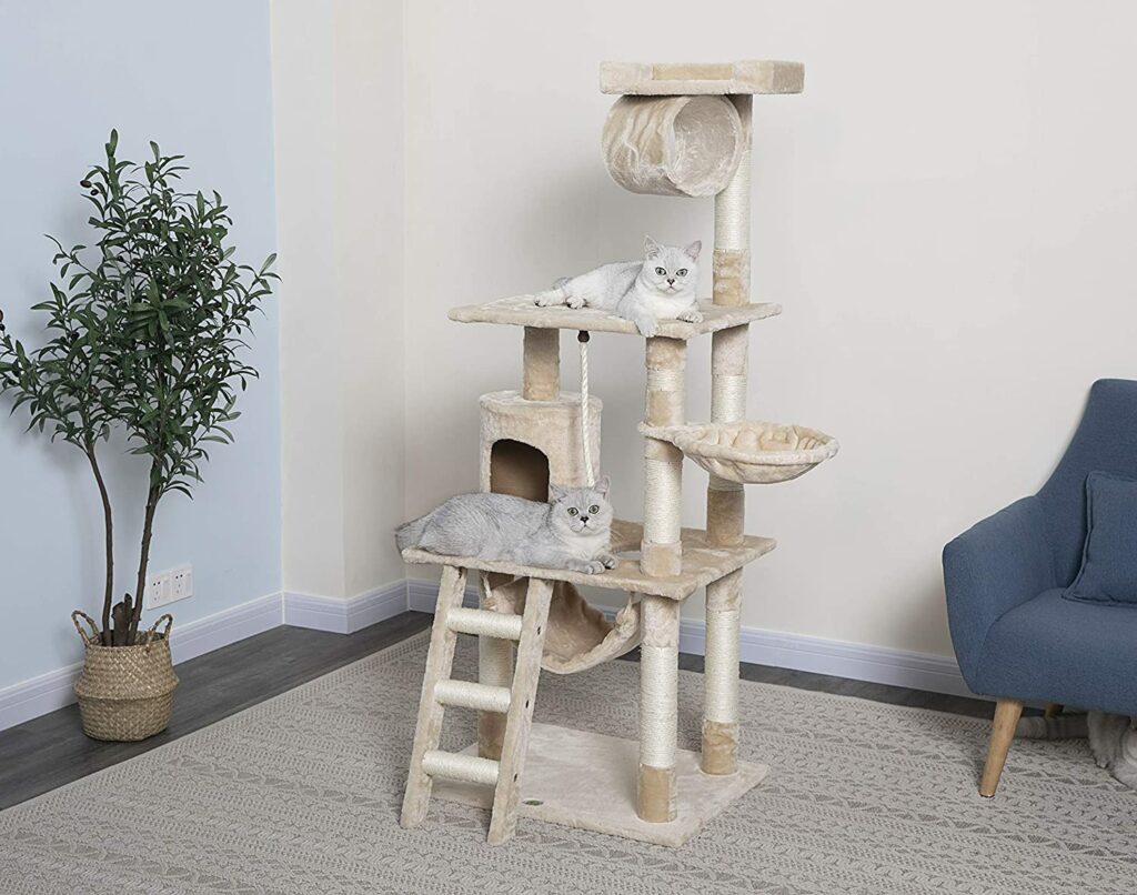 free instal Cat Condo