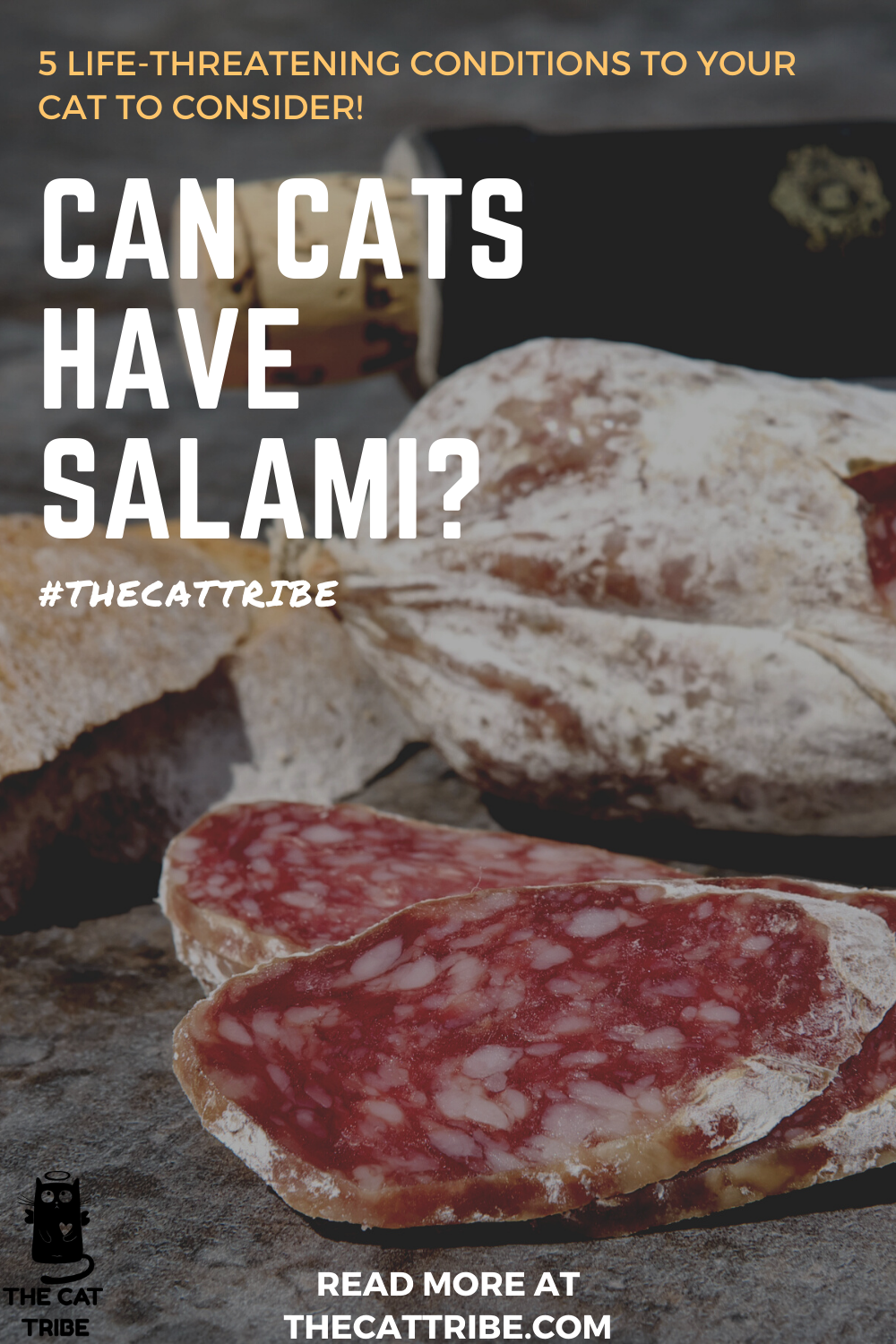 Can Cats Have Salami? 5 LifeThreatening Conditions To Your Cat To Consider! The Cat Tribe