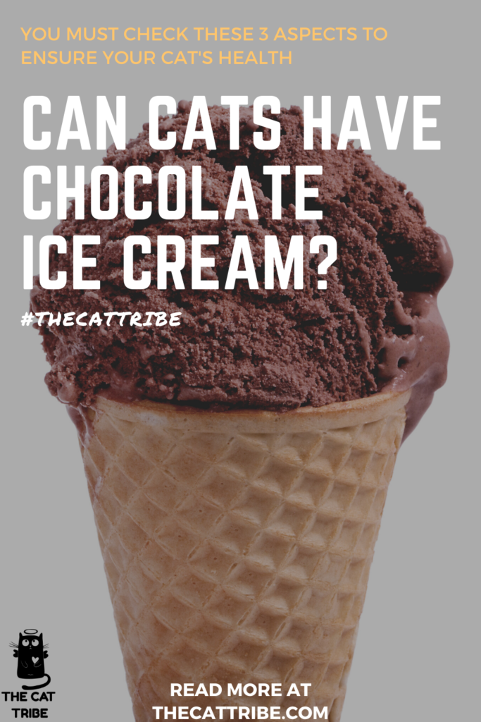 can-cats-have-chocolate-ice-cream