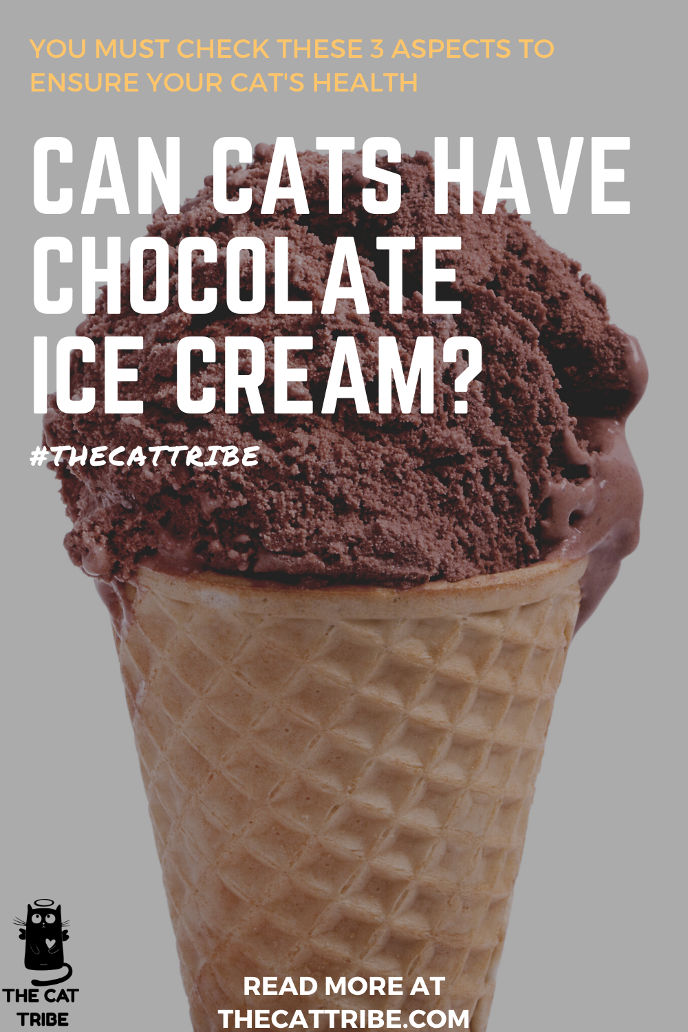 Can cats have chocolate ice cream you must check these 3 aspects to