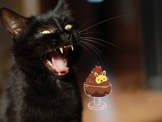can-cats-have-chocolate-ice-cream