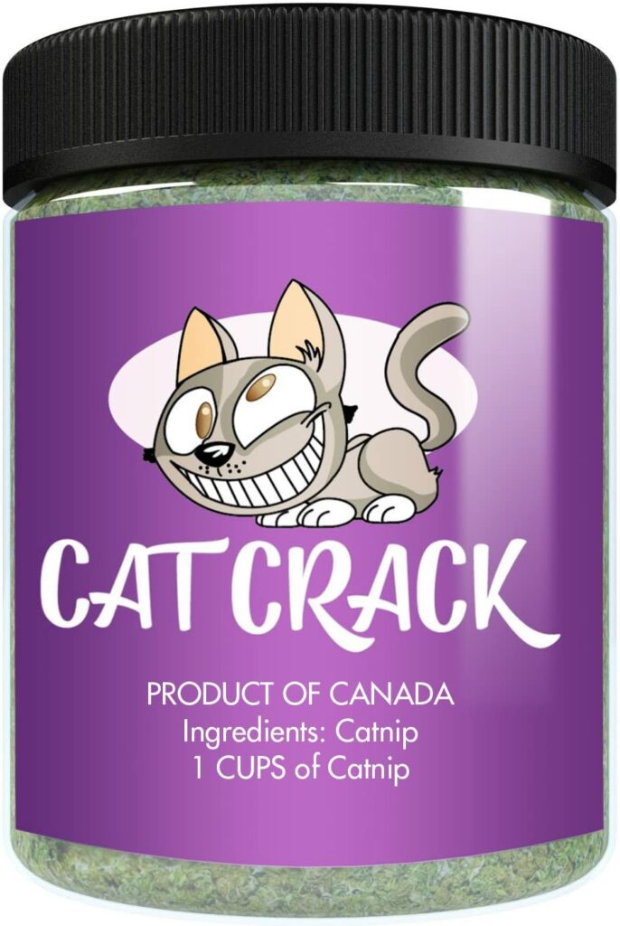 is-catnip-good-for-cats