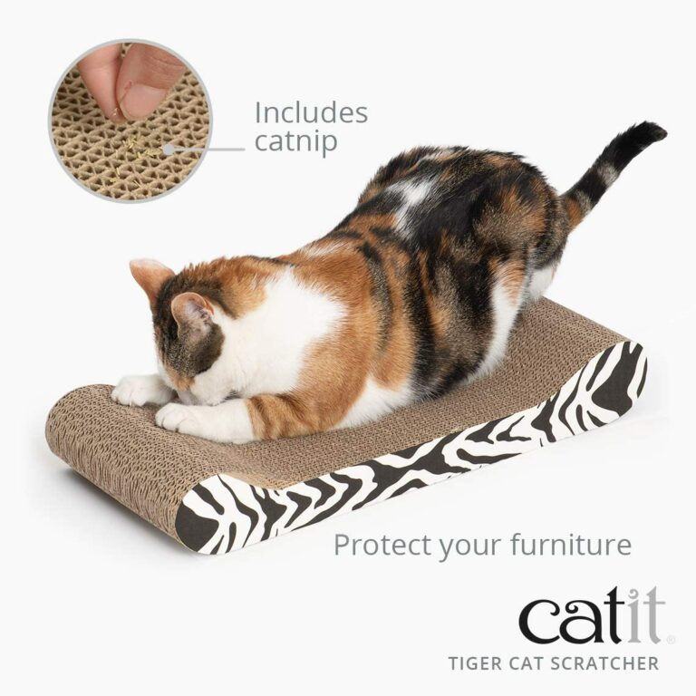 csnip for cats