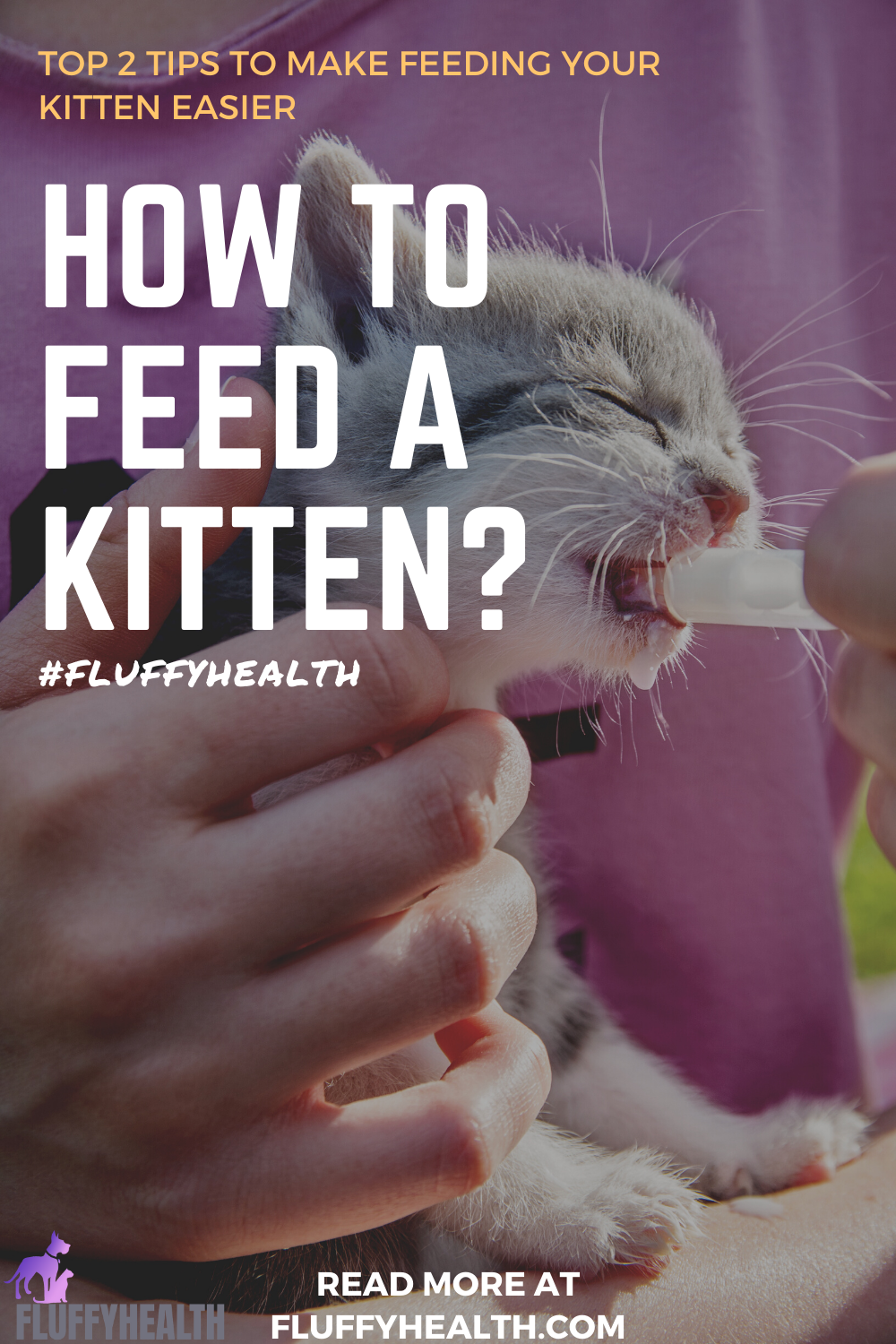 Your kitten